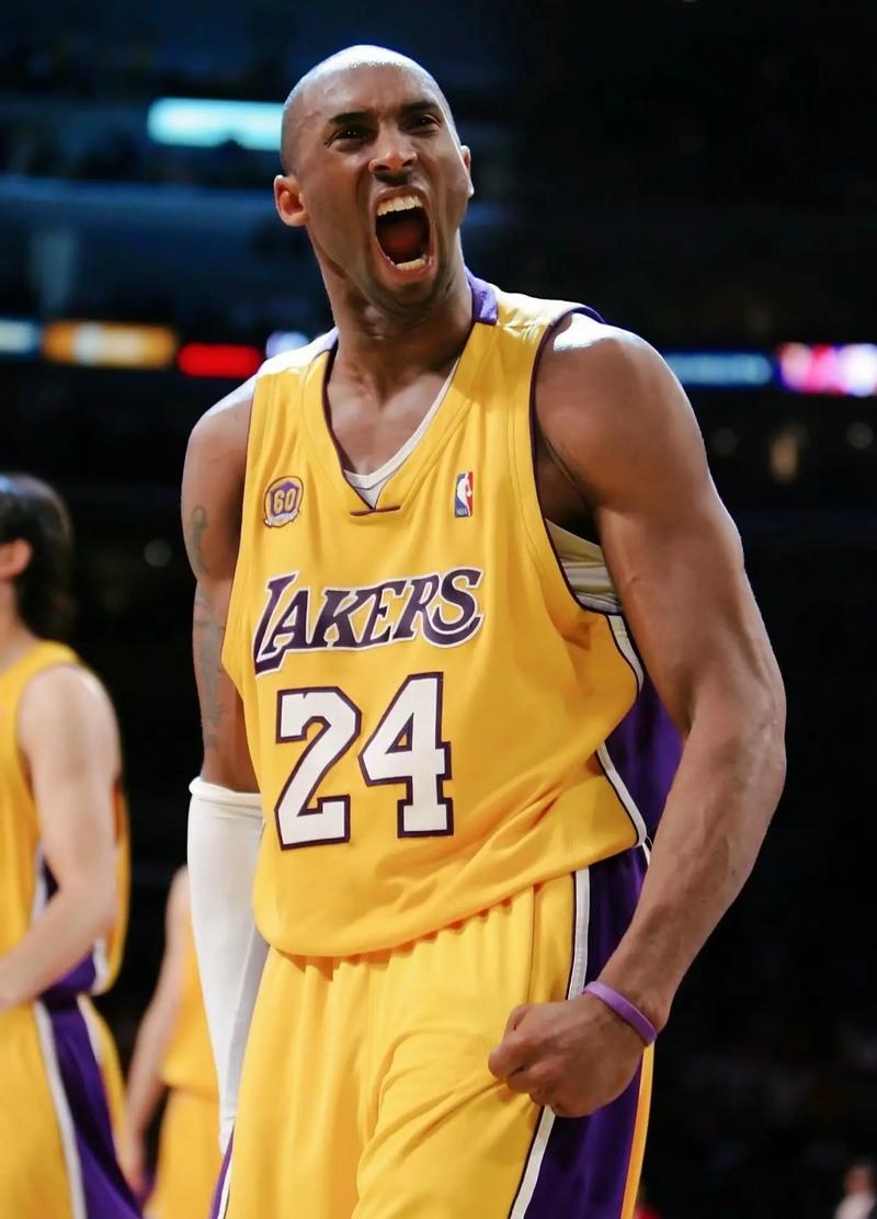 肘屈肌群与 肘屈肌群与